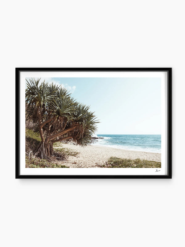Angourie Point Beach - Wall Art Print