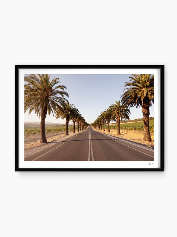 Seppeltsfield Road 01 – Barossa Valley Wall Art Print