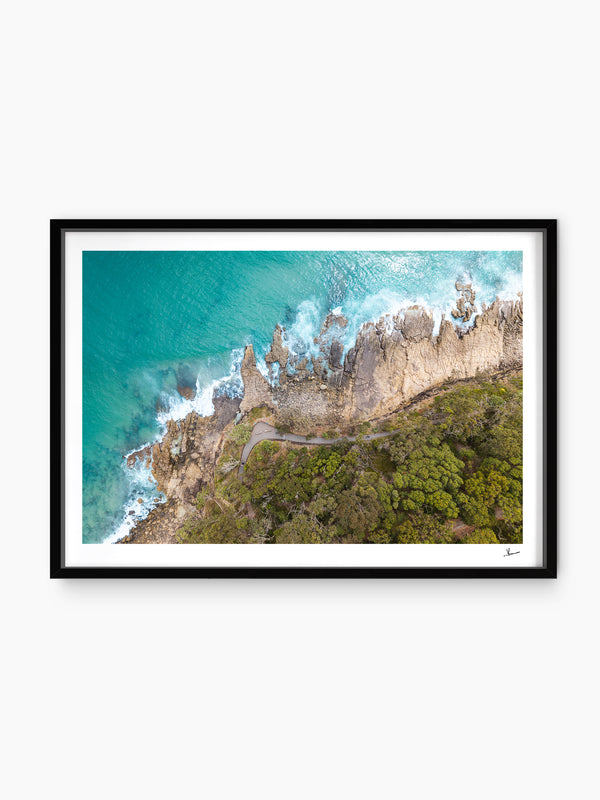 Boardwalk – Noosa National Park Wall Art Print