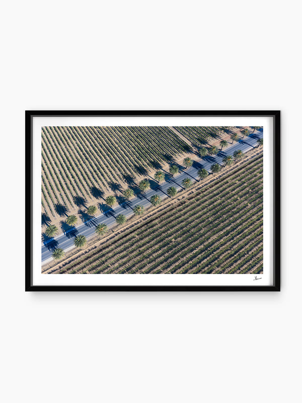 Seppeltsfield Road 03 – Barossa Valley Wall Art Print