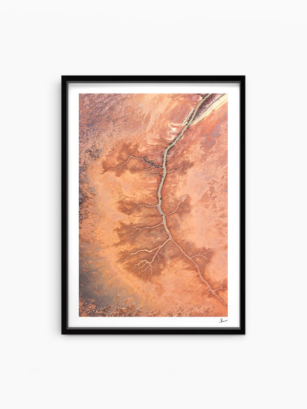 Desert Spine - Limited Edition — wall art print in ShadowBox Black frame · Australia Unseen