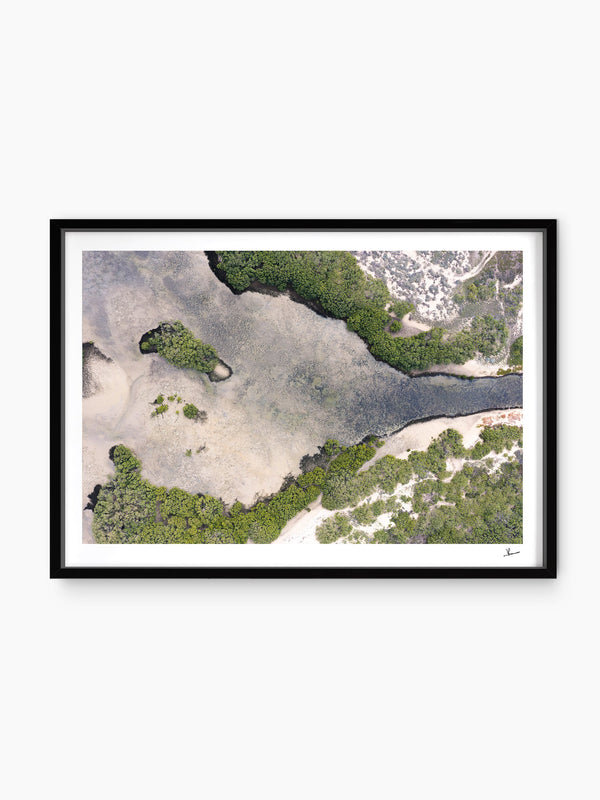 Mangrove Bay — wall art print in ShadowBox Black frame · Australia Unseen