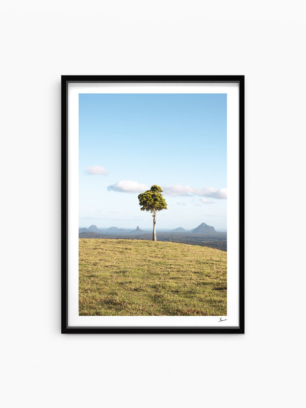 One Tree Hill 02 - Glass House Mountains Wall Art Print