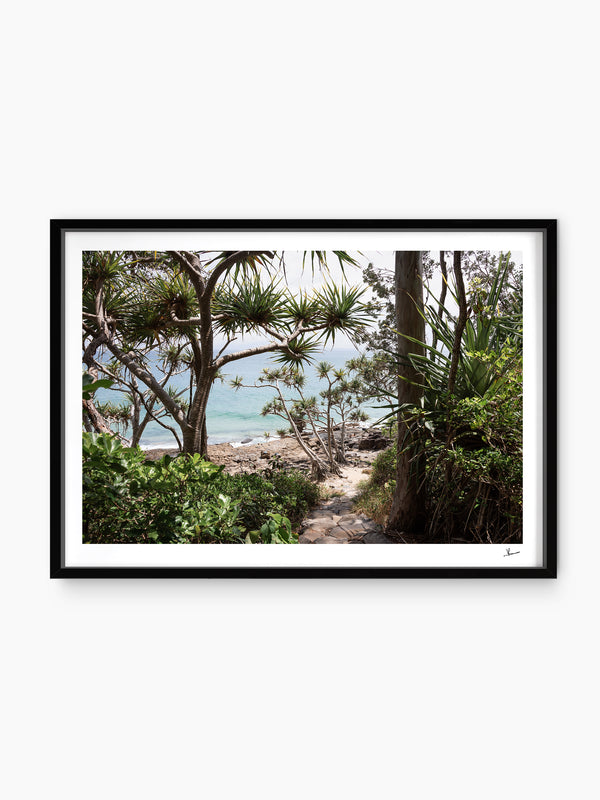 Down Pandanus Lane – Noosa National Park Wall Art Print