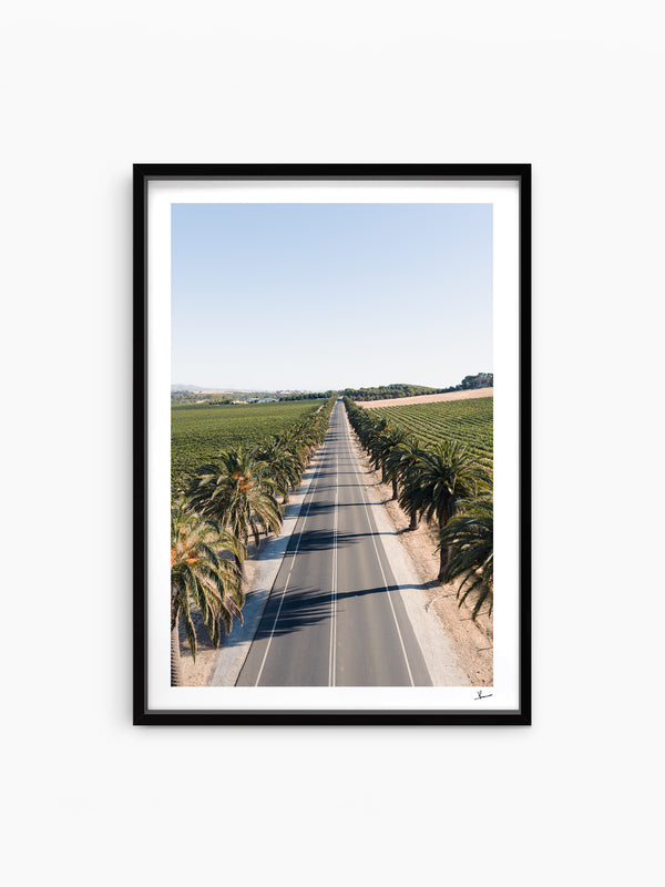 Seppeltsfield Road 02 – Barossa Valley Wall Art Print