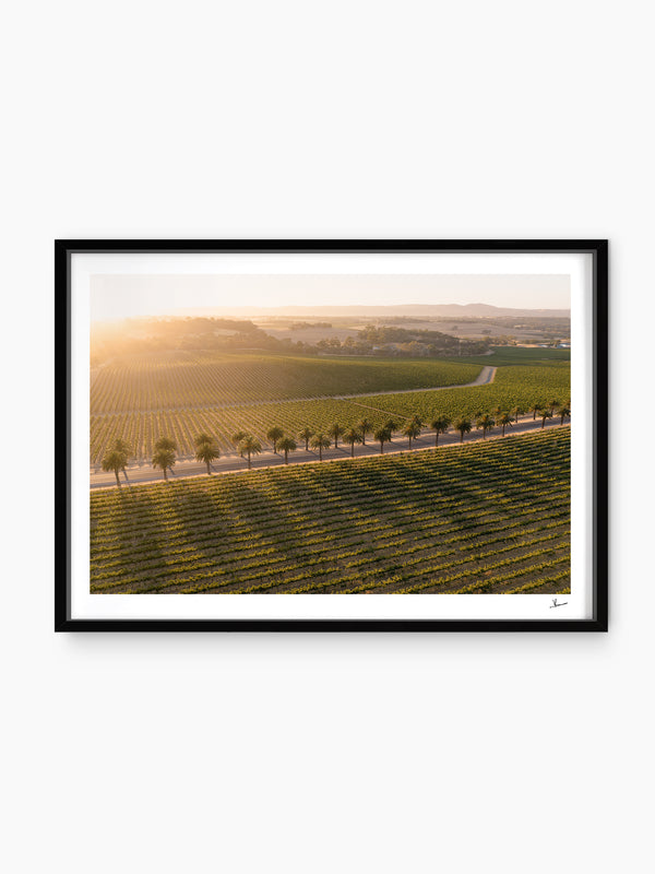 Barossa Valley Sunrise 03 – South Australia Wall Art Print