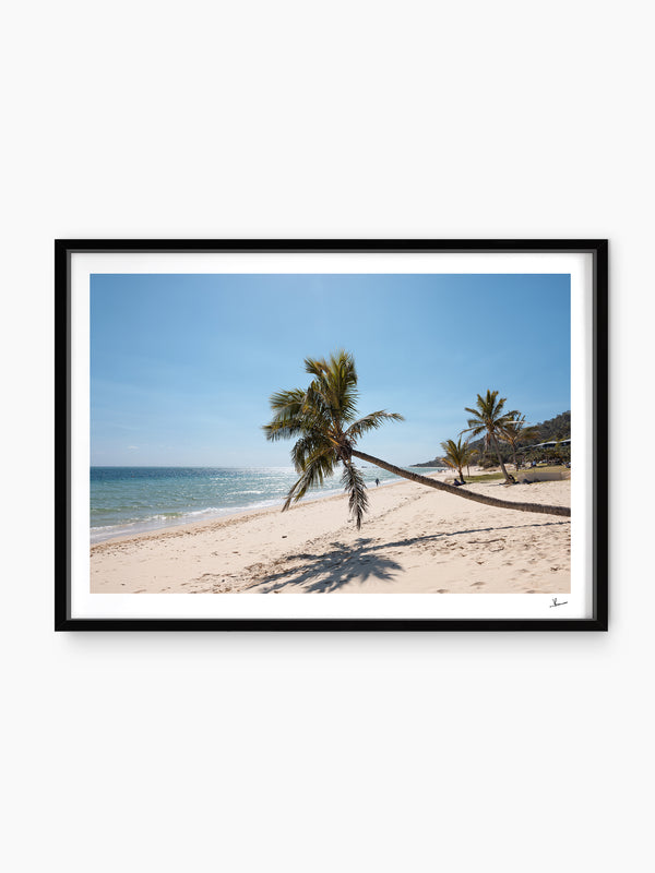 Tanga Leaning Palm - Moreton Island Wall Art Print