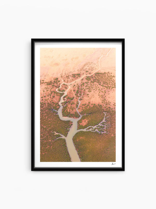 Mangrove Roots — wall art print in ShadowBox Black frame · Australia Unseen