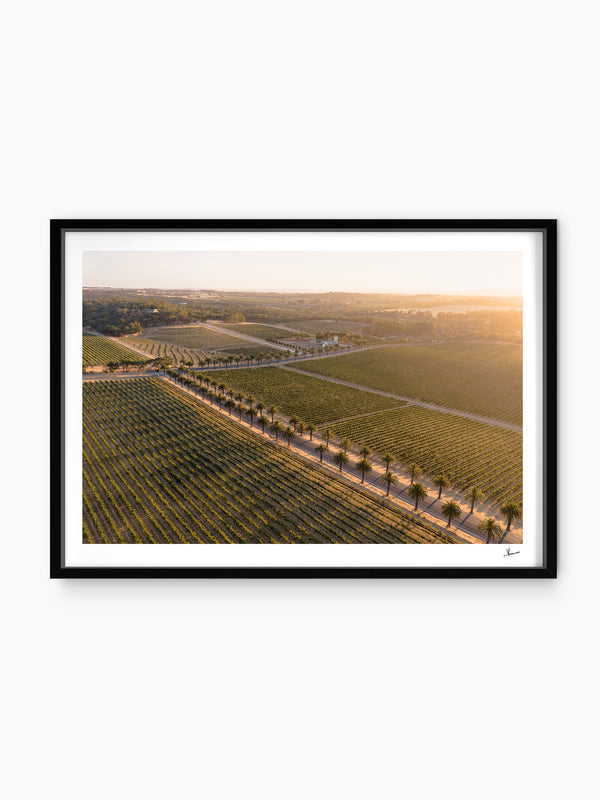Barossa Valley Sunrise 02 – South Australia Wall Art Print