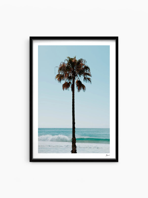 Palm Tree 01 (Whale Beach) - Wall Art Print
