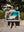 Shelly Beach 04 - Wall Art Print