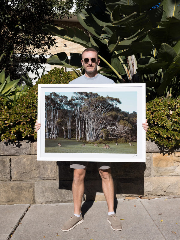 Kangaroos 01 (Little Bay Beach, NSW) - Wall Art Print