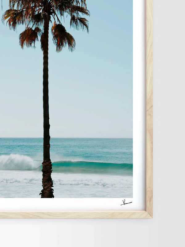 Palm Tree 01 (Whale Beach) - Wall Art Print