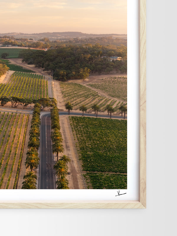 Barossa Valley Sunrise 01 – South Australia Wall Art Print