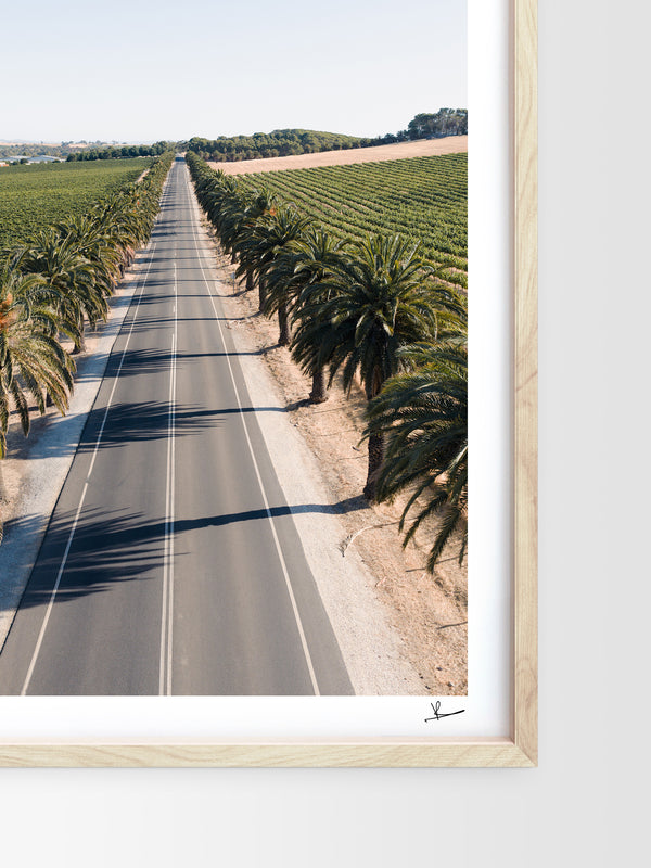 Seppeltsfield Road 02 – Barossa Valley Wall Art Print