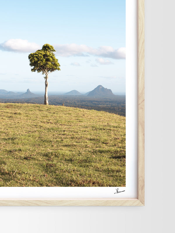 One Tree Hill 02 - Glass House Mountains Wall Art Print