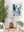 Avalon Rock pool 03 - Wall Art Print