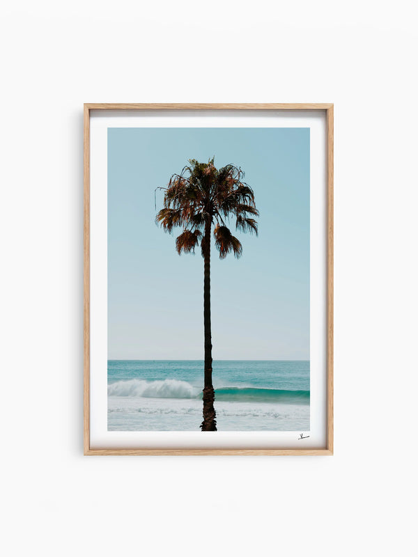 Palm Tree 01 (Whale Beach) - Wall Art Print