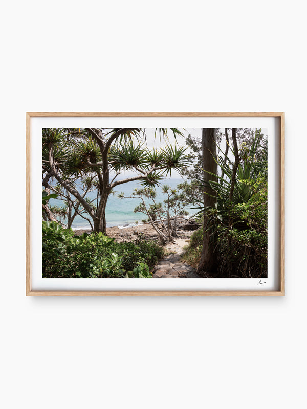Down Pandanus Lane – Noosa National Park Wall Art Print