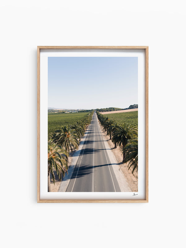 Seppeltsfield Road 02 – Barossa Valley Wall Art Print