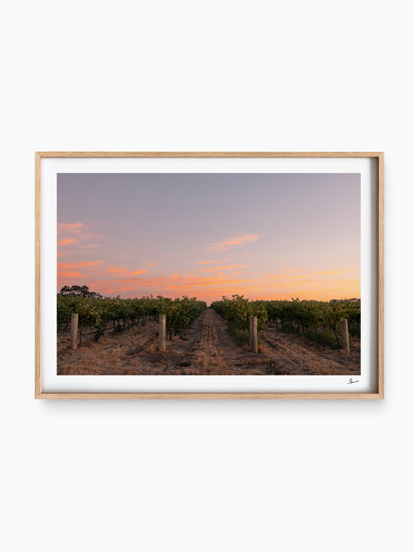 Barossa Valley First Light – South Australia Wall Art Print