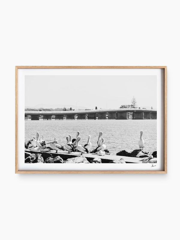 ShadowBox Raw Wood