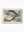 Mangrove Bay — wall art print in ShadowBox Raw Wood frame · Australia Unseen
