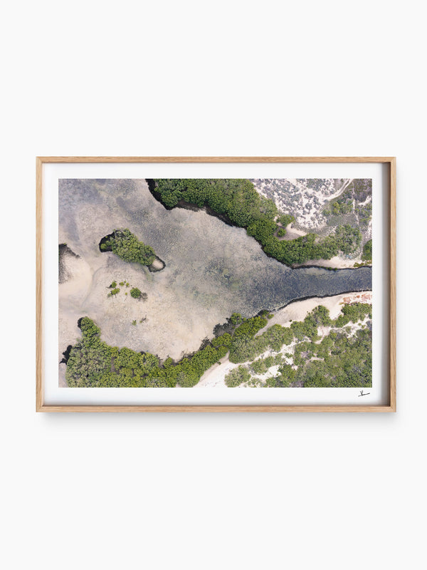 Mangrove Bay — wall art print in ShadowBox Raw Wood frame · Australia Unseen