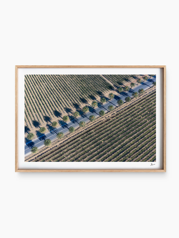 Seppeltsfield Road 03 – Barossa Valley Wall Art Print