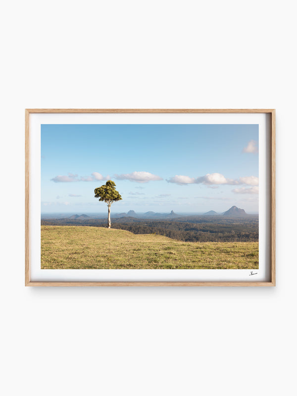 One Tree Hill 01 - Glass House Mountains Wall Art Print