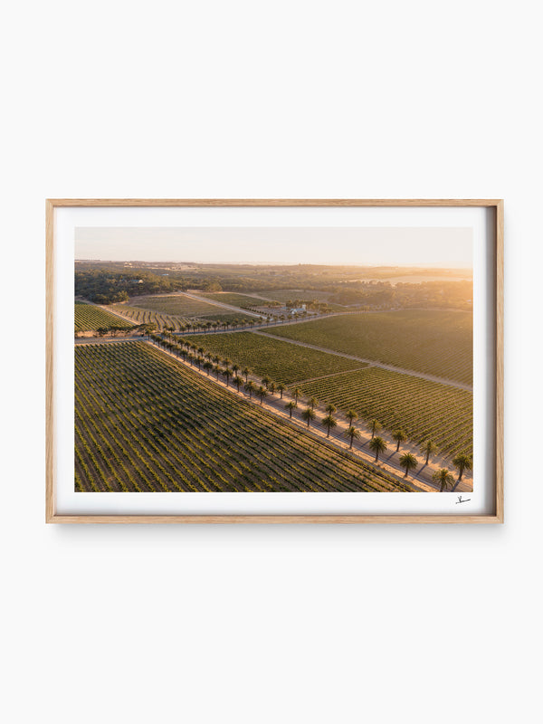 Barossa Valley Sunrise 02 – South Australia Wall Art Print