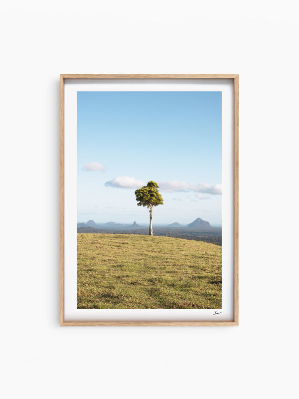 One Tree Hill 02 - Glass House Mountains Wall Art Print