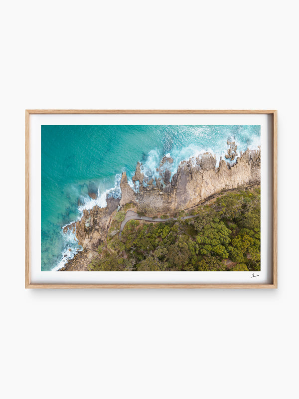 Boardwalk – Noosa National Park Wall Art Print