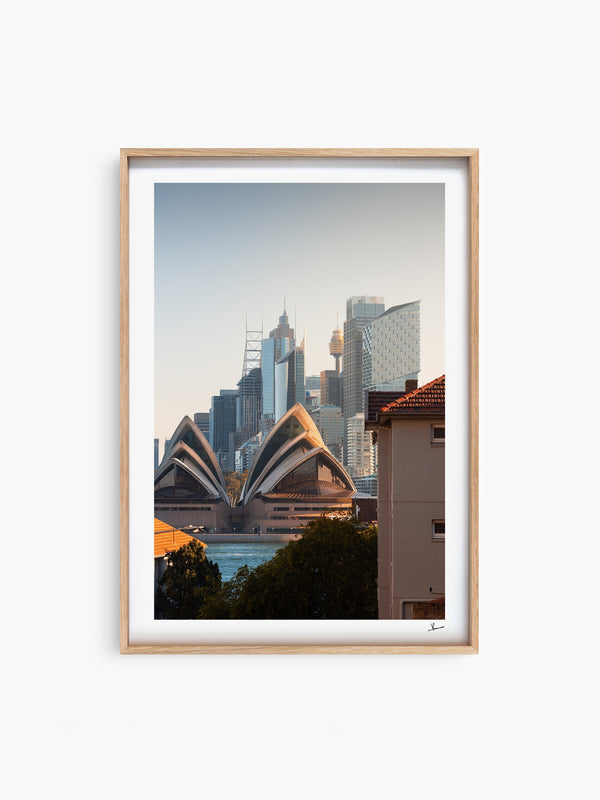 From across the harbour - Sydney — wall art print in ShadowBox Raw Wood frame · Australia Unseen