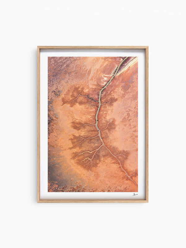 Desert Spine - Limited Edition — wall art print in ShadowBox Raw Wood frame · Australia Unseen