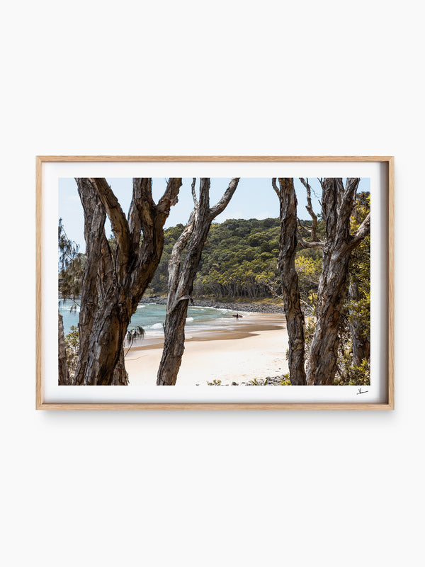 Tea Tree Bay 01 – Noosa Wall Art Print