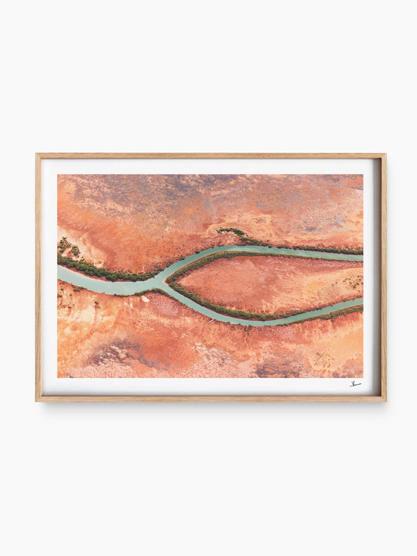 Wishbone — wall art print in ShadowBox Raw Wood frame · Australia Unseen