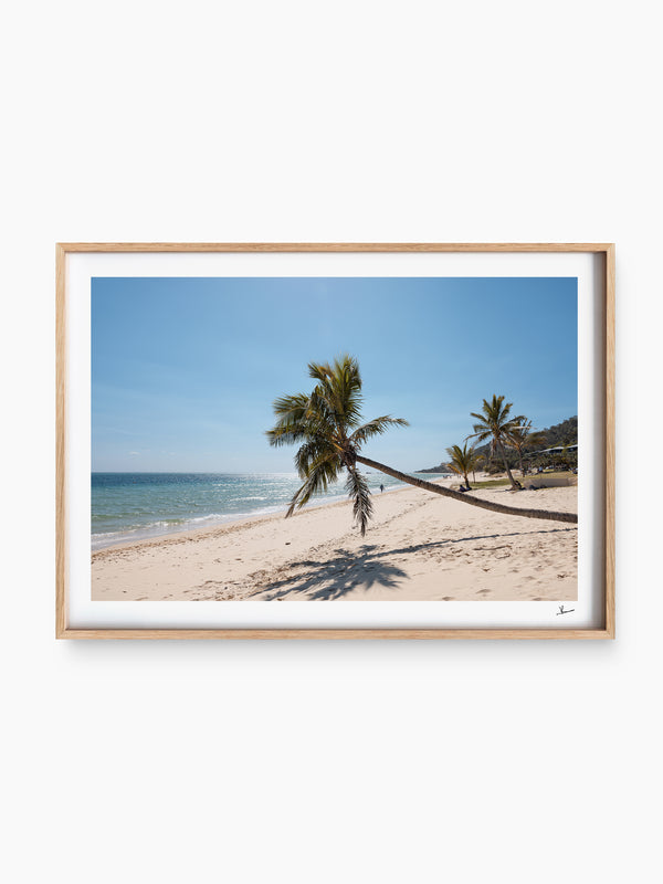 Tanga Leaning Palm - Moreton Island Wall Art Print