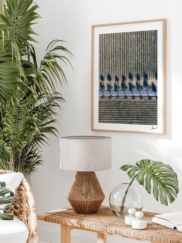 Seppeltsfield Road 04 – Barossa Valley Wall Art Print