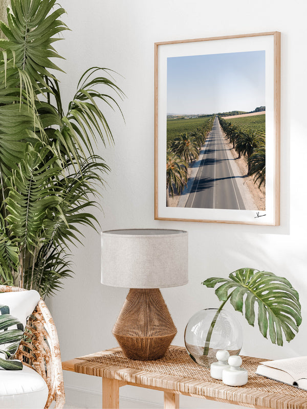 Seppeltsfield Road 02 – Barossa Valley Wall Art Print