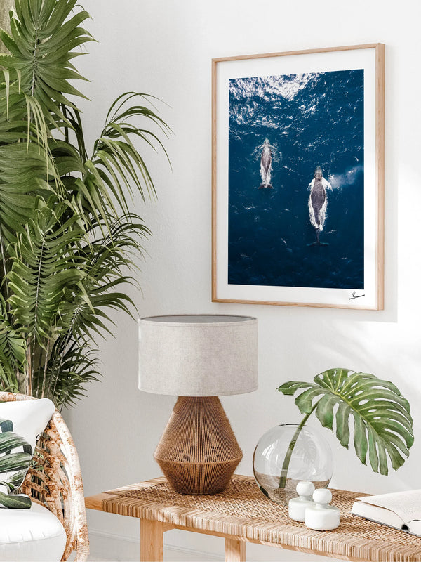 Whales 01 (Maroubra) - Wall Art Print