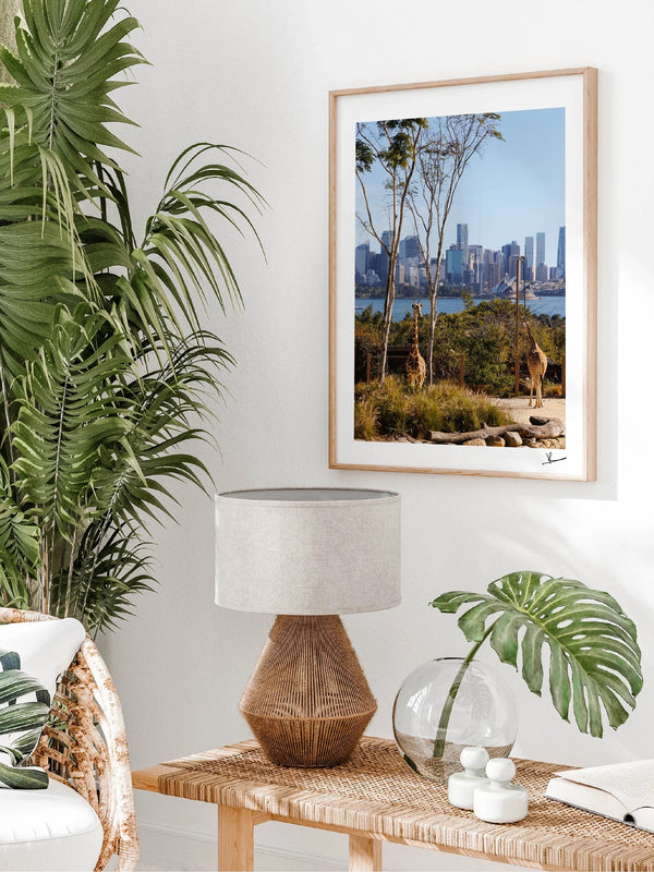 Taronga 02 - Wall Art Print