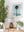 Palm Tree 01 (Whale Beach) - Wall Art Print