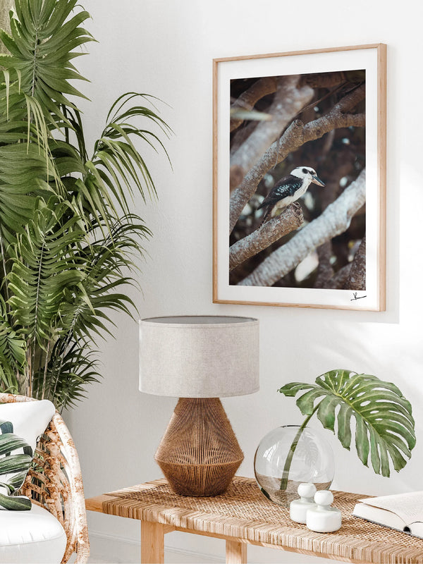 Kookaburra 01 - Wildlife Wall Art Print