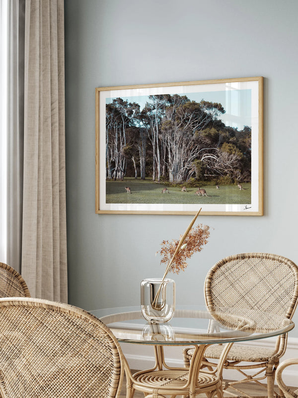 Kangaroos 01 (Little Bay Beach, NSW) - Wall Art Print