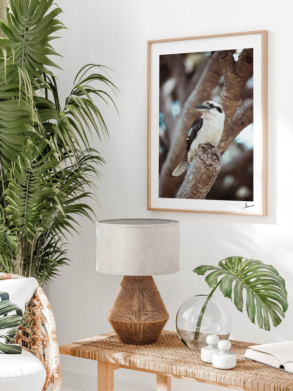 Kookaburra 02 - Wildlife Wall Art Print