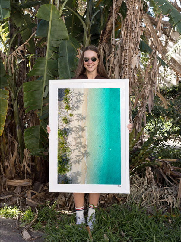 Shadows & Palms - Whitsundays Wall Art Print
