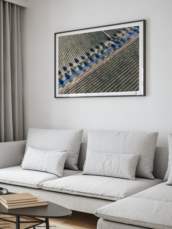 Seppeltsfield Road 03 – Barossa Valley Wall Art Print