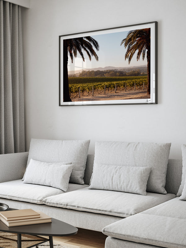 Barossa Vineyard 01 – South Australia Wall Art Print