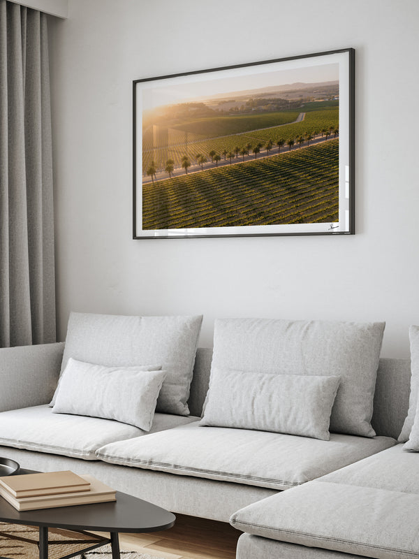 Barossa Valley Sunrise 03 – South Australia Wall Art Print